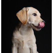Emily Siegel's photo