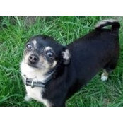 Melissa Amatrano's photo