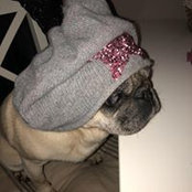 Foto von Bella Strath