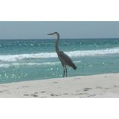 Donna Crawford's photo