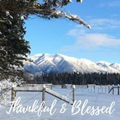 Debbie Westphal's photo