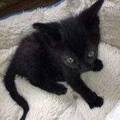 Jennifer Ottinger's photo