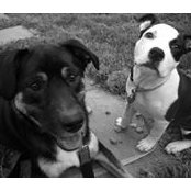 Linda Carroll's photo