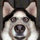 pabs_kleck
