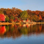 Amy Brennan's photo