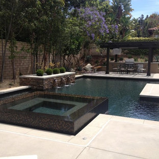 サンディエゴの中サイズの長方形モダンスタイルのおしゃれなプールの写真