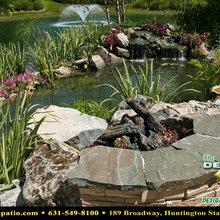 fish pond