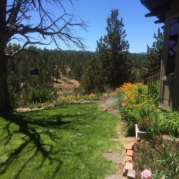 Hot Spot Garden Design