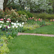 Landscape Ideas