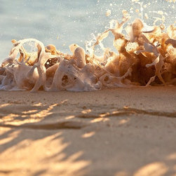 Foam Dancers by Joel Coleman - Photographs