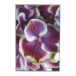 ANGEL ROBE HYDRANGEA WALL ART &ndash; PETALS &ndash; NEW - Products