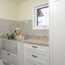 Dog Spa