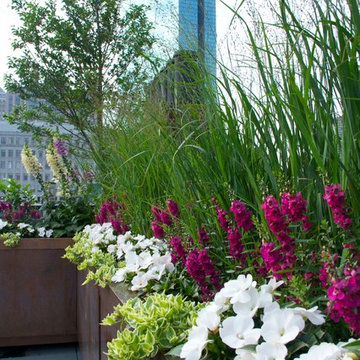 City Rooftop and Roof Terrace, Boston MA