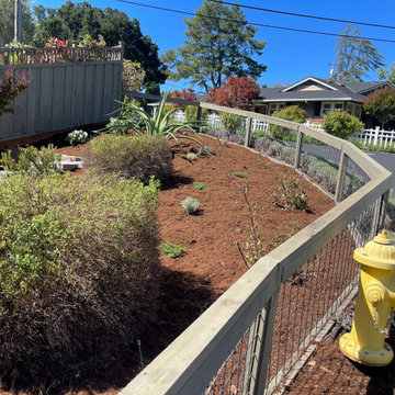 #FallCleanUp #Softscape #CaliforniaMowFreeSod
