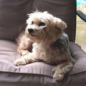 Stephen Schenk's photo