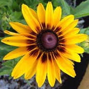 Tatia Veltkamp's photo