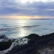 Michelle Pitman's photo