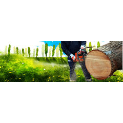 Tree Business, LLC