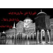 Manal Lababidis foto