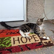 Julie Lindseth's photo