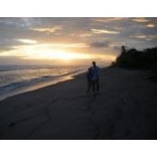 Matthew Nickells's photo