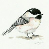 Dorothée Rosedraft's photo