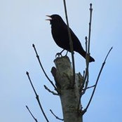 Cathy Wilder's photo