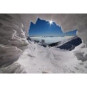 Twyla Burnard's photo