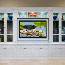 TV with audio wall