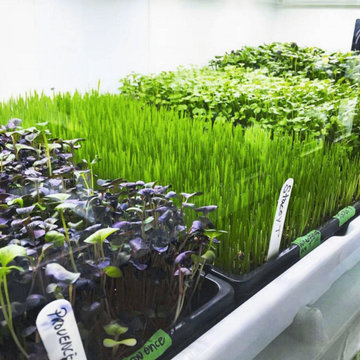 Design Ideas Featuring Urban Cultivator™