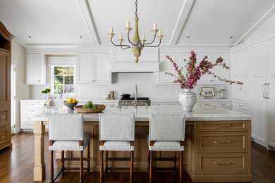 Kitchen - transitional kitchen idea in San Francisco