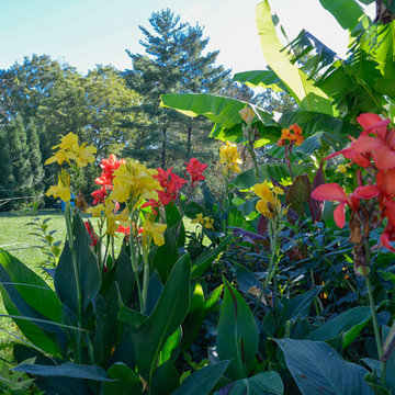 Backyard Retreats