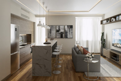 Inspiration for a contemporary living room remodel in Other