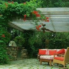 gillian_brady_pagel's ideas
