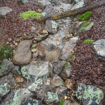 Water Features