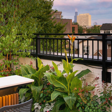 Wicker Park Single Family Home Outdoor Renovation: Rooftop Bar + Family-Friendly