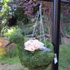 Moss Duck Topiary Hanging Planter, 12"W x 9"H