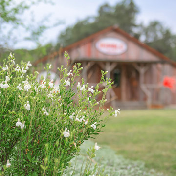 Hays County Ranch | Native Texas Planting