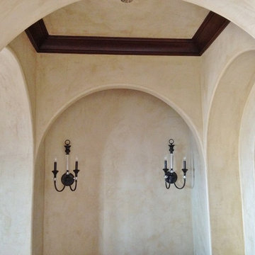 Venetian Plasters