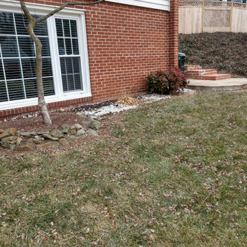 Front yard before