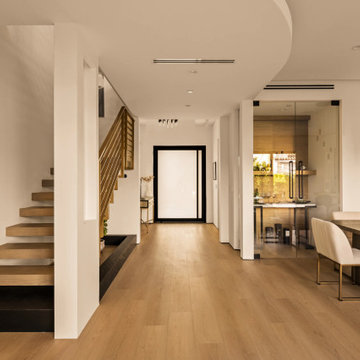 Modern Luxury Entryway and Hallway with Premium Aluminum Glass Pivot Door
