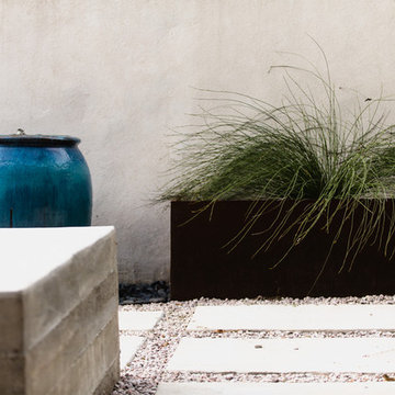 Rosedale Modern Courtyard
