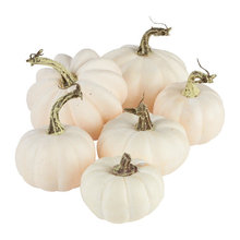 Fall Decor