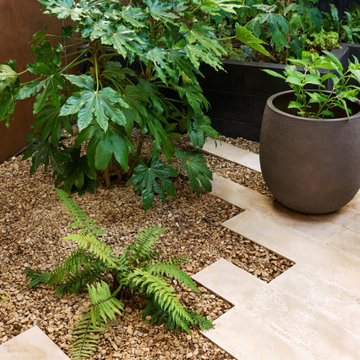 Contemporary courtyard