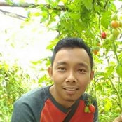 Adi Dimas's photo