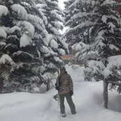 John Walsh's photo