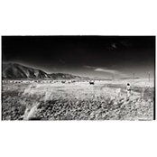Freidel Kushman's photo