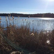 Fred Anderson's photo
