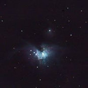 Devin Gingrich's photo