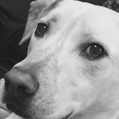 Heather Stoess's photo
